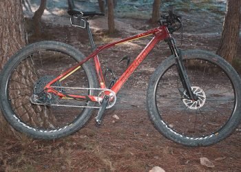 Rockrider XC 900
